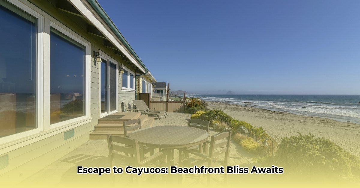 beachfront-rentals-cayucos-ca